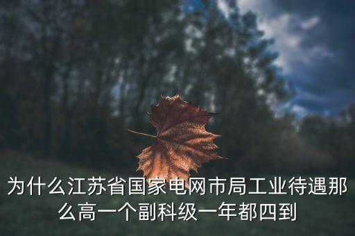 電力住房公積金為什么高，國家電網(wǎng)正式工公積金800元高嗎