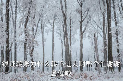 銀證轉賬為什么轉不進去啊幫個忙謝謝各位啦