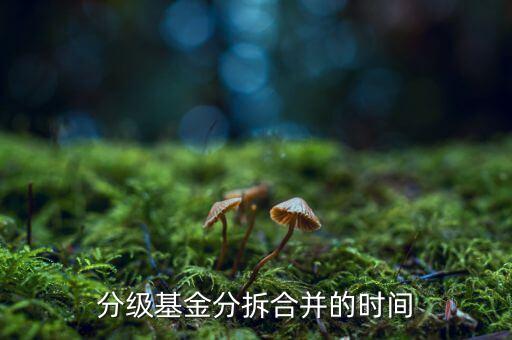 基金什么時候拆分，基金一般在什么時候拆分或分紅