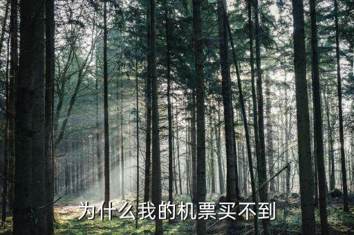 833919為什么買(mǎi)不到，我怎么買(mǎi)不到呀