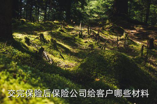 交完車險(xiǎn)都給什么東西，交完保險(xiǎn)后保險(xiǎn)公司給客戶哪些材料