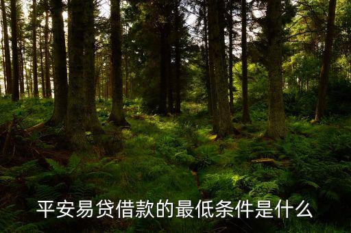 平安信保易貸是什么，平安易貸借款的最低條件是什么