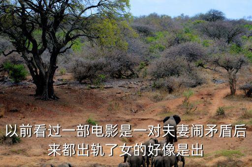 候永財執(zhí)導過什么電影，以前看過一部電影是一對夫妻鬧矛盾后來都出軌了女的好像是出