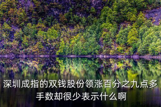雙錢股份是什么公司，深圳成指的雙錢股份領(lǐng)漲百分之九點多 手數(shù)卻很少表示什么啊