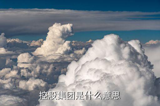 什么是共同控股股東，同一控股股東