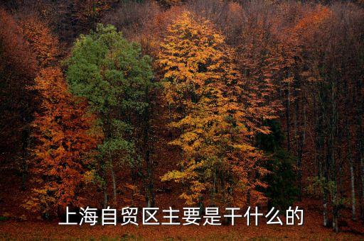 自貿區(qū)是干什么的，自貿區(qū)是做什么的