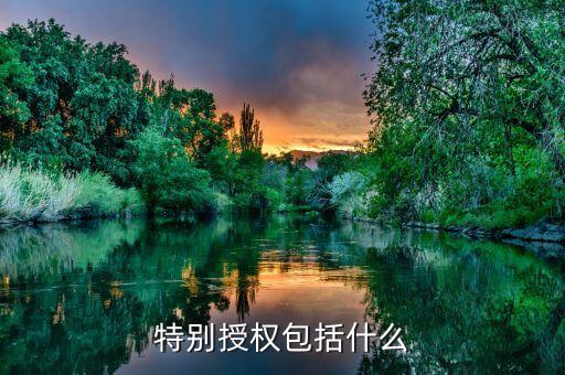 什么是特別授權(quán)，民事訴訟時(shí)律師要求當(dāng)事人簽署特別授權(quán)什么是特別