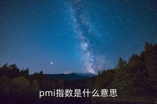 pmi指數是什么意思