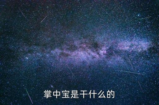 保險掌中寶是什么，掌中寶是干什么的