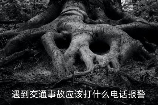 撞車(chē)后報(bào)警電話打什么，車(chē)肇事打什么電話報(bào)案