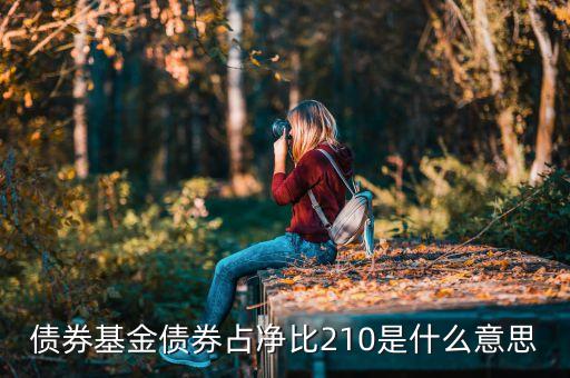 基金中的占凈比什么意思，債券基金債券占凈比210是什么意思