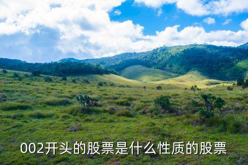 002打頭的股票代表什么，股票002開頭的是什么意思