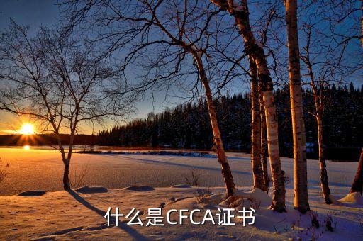 廣金所是什么，resign是什么意思