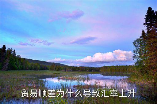 貿(mào)易順差為什么導致匯率上升