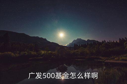 廣發(fā)500凈值為什么很低，廣發(fā)500基金怎么樣啊