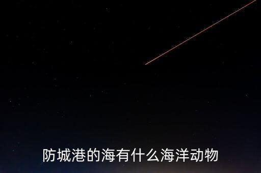 什么是沿邊金融，防城港的海有什么海洋動(dòng)物