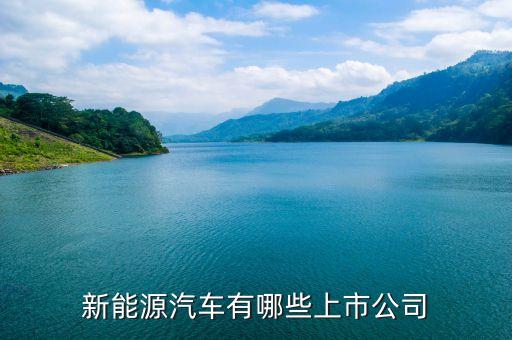 上汽集團(tuán)什么時(shí)候上市，上汽集團(tuán)股票的發(fā)行價(jià)格是多少