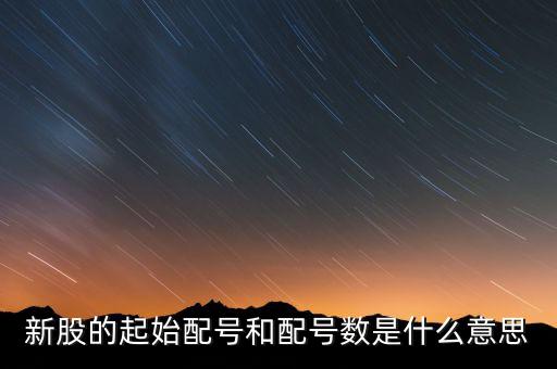 新股申購起始配號是什么意思，新股起始配號是什么意思配號21是什么意思
