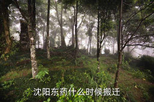 有沈陽(yáng)東北制藥搬遷是什么時(shí)候嗎，沈陽(yáng)東藥什么時(shí)候搬遷