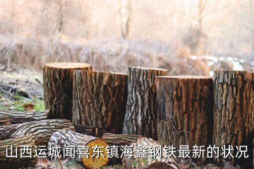 海鑫什么時(shí)候破產(chǎn)，山西運(yùn)城聞喜東鎮(zhèn)海鑫鋼鐵最新的狀況