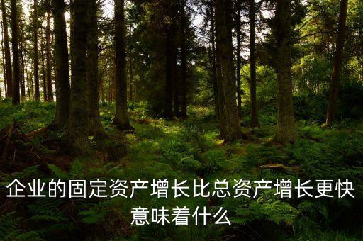 固定資產(chǎn)增長說明什么，流動資產(chǎn)固定資產(chǎn)長期投資都增加從公司資產(chǎn)規(guī)模及變動趨勢