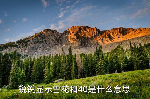 股票波段顯示雪花什么意思，汽車儀表盤顯示雪花什么意思