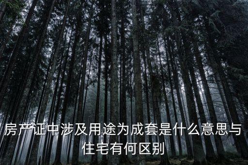 什么是成套項(xiàng)目，什么叫中型成套工程項(xiàng)目