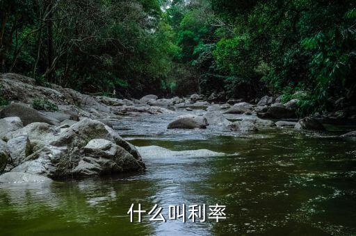 什么叫做利率，什么叫做利率