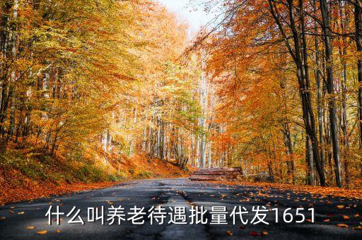 什么叫代發(fā)養(yǎng)老金，養(yǎng)老金代發(fā)機(jī)構(gòu)是指什么