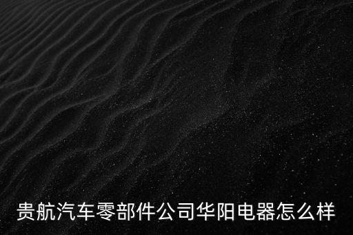 貴航集團華陽電工廠是什么企業(yè)，貴航汽車零部件公司華陽電器怎么樣