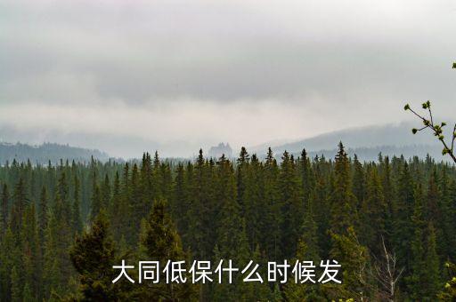 大同市學(xué)校低保補(bǔ)助什么時(shí)候到賬，大同低保什么時(shí)候發(fā)