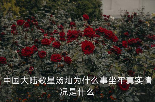 湯燦為什么要當(dāng)情婦，誰知道湯燦怎么了
