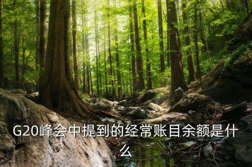 什么是經(jīng)常項(xiàng)目余額，經(jīng)常項(xiàng)目差額的什么是經(jīng)常項(xiàng)目差額