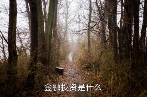 保險(xiǎn)公司金融投資是做什么的，保險(xiǎn)公司理財(cái)公司是干什么的