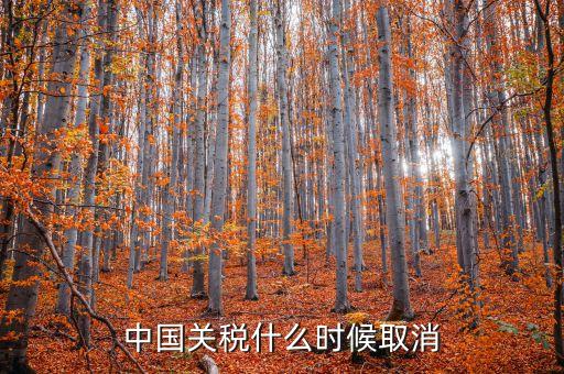 中國什么時候取消關(guān)稅，中國應(yīng)該在哪年取消關(guān)稅
