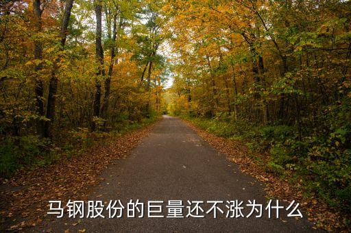 馬鋼集團為什么還不倒，馬鋼集團為什么沒排在世界500強中