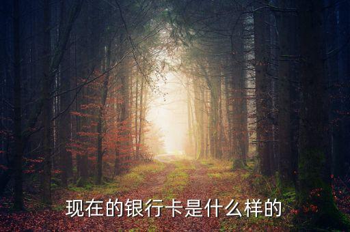 首都銀行卡長什么樣，銀行卡賬號長什么樣