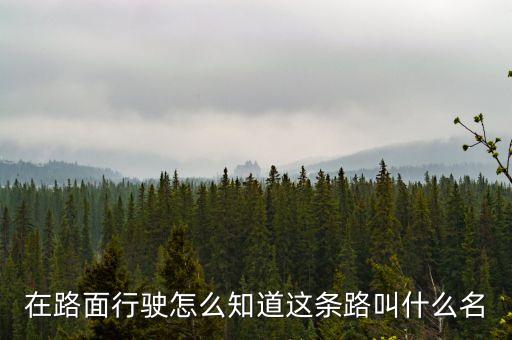 什么叫路條，什么叫做條條道路通羅馬