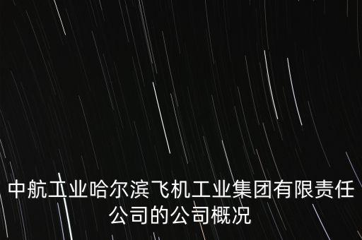 哈飛生產(chǎn)什么飛機(jī)，成飛 陜飛 哈飛 沈飛那個是中國最大的飛機(jī)制造企業(yè)