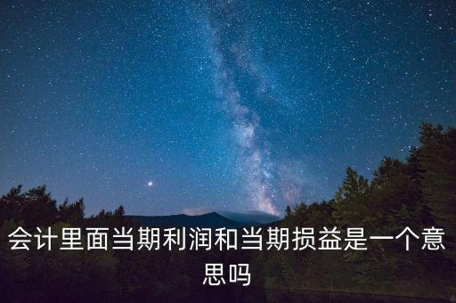 當(dāng)期利潤是指什么意思，當(dāng)期利潤當(dāng)期應(yīng)付利息等等中的當(dāng)期是什么含義