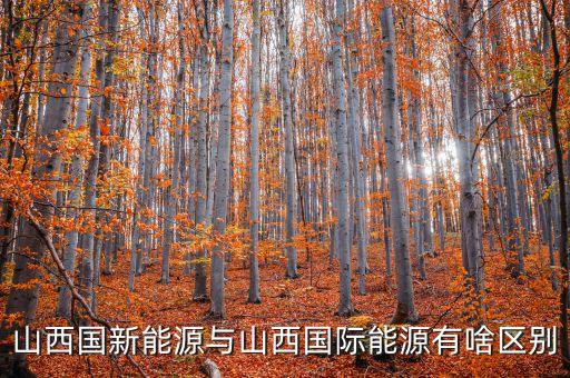 國(guó)新能源是什么企業(yè)，浙江國(guó)能新能源有限公司怎么樣