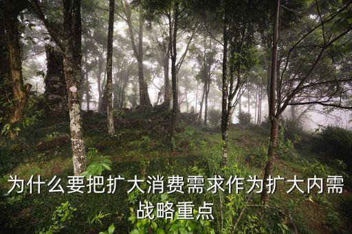 為什么要把擴大消費需求作為擴大內需戰(zhàn)略重點