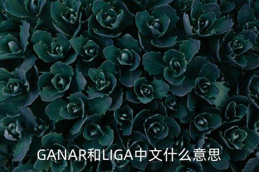 人民幣勝什么意思，韓版惡作劇之吻高中畢業(yè)勝祖跟哈妮照相時勝祖說的錢是什么意