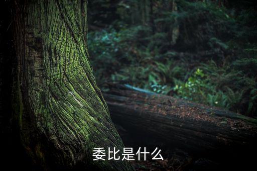 什么是委比指標(biāo)，股票里面的委比是什么意思
