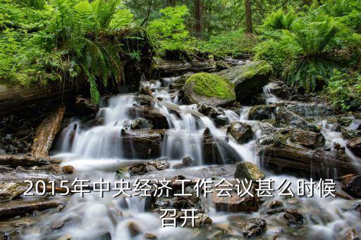 2015年中央經濟工作會議甚么時候召開