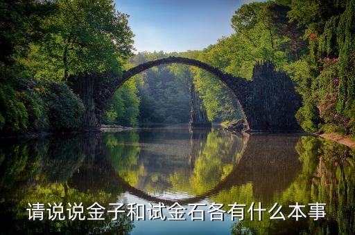 請說說金子和試金石各有什么本事，請說說金子和試金石各有什么本事