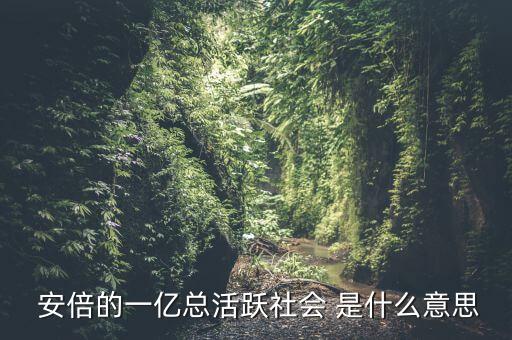 一億總活躍社會(huì)是什么， 安倍的一億總活躍社會(huì) 是什么意思