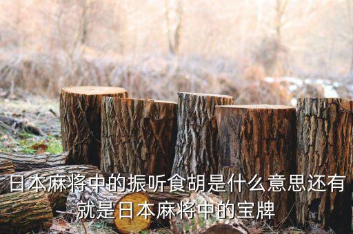 匯盈貸是什么，日本麻將中的振聽食胡是什么意思還有就是日本麻將中的寶牌