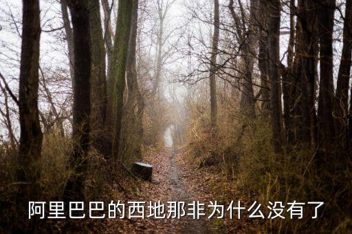 阿里巴巴的西地那非為什么沒(méi)有了