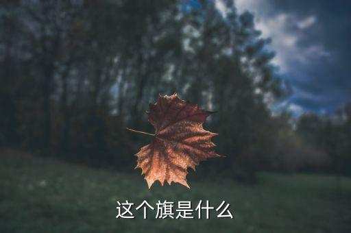 601718旗是什么，7月1日是什么旗